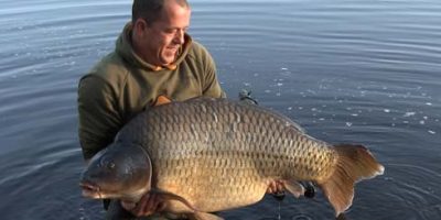 83.4 common carp.jpg